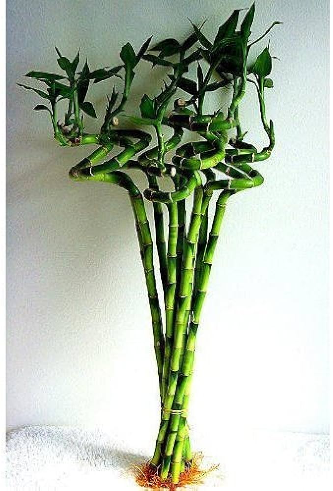 sustainable gardening